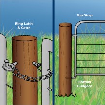 13780 - FG2 Ring Latch illustration 1200px